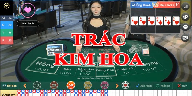 trac kim hoa